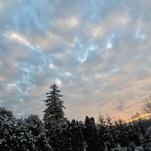 Meet your Posher, Michele